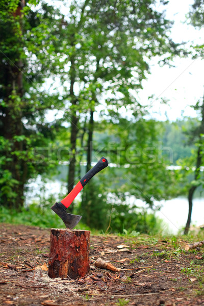 Camping hatchet Stock photo © naumoid