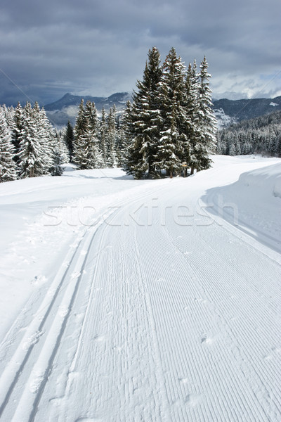 Sí útvonal frissen üres francia Alpok Stock fotó © naumoid