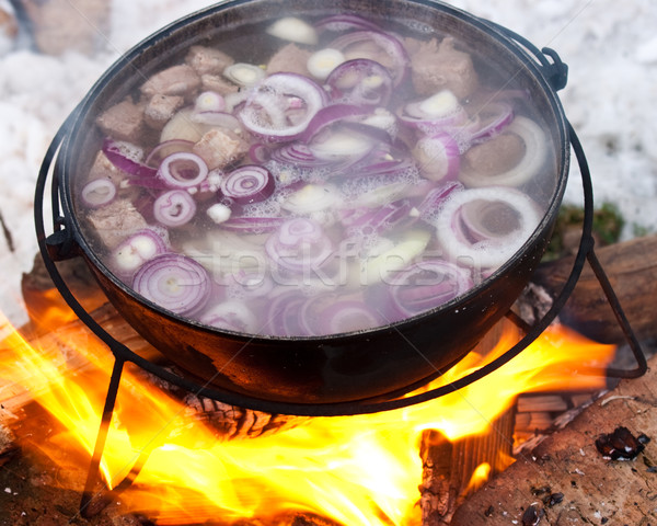 Pişirme çorba kazan yangın orman turuncu Stok fotoğraf © naumoid