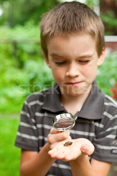 Kid observing snail Stock photo © naumoid