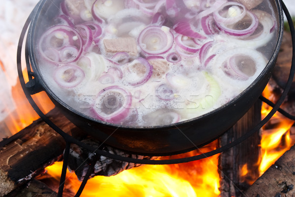 [[stock_photo]]: Cuisson · soupe · chaudron · feu · forêt · orange