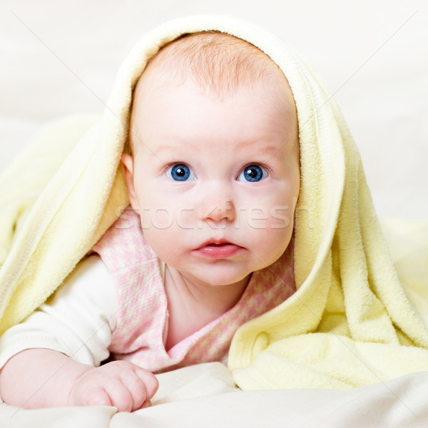 Zdjęcia stock: Cztery · niemowlę · portret · uważny · miesiąc