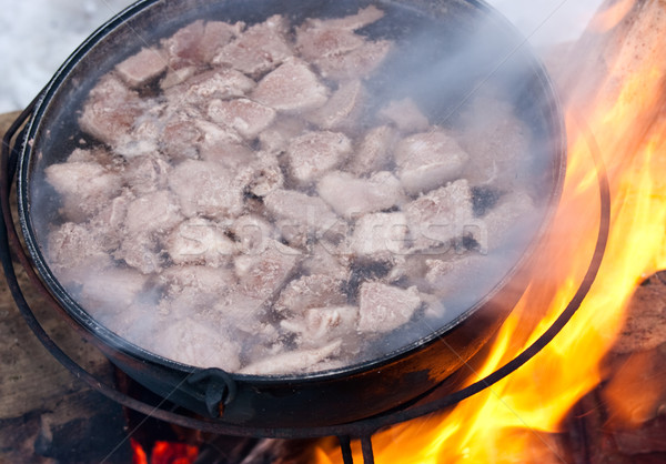 Koken soep ketel brand bos oranje Stockfoto © naumoid