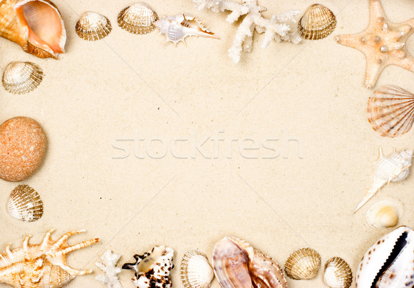 Shells on sand frame Stock photo © naumoid
