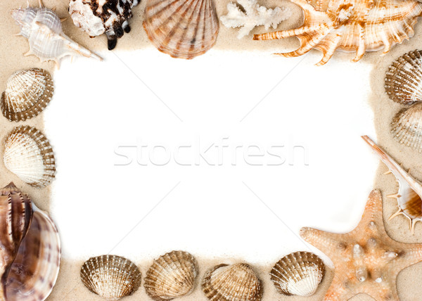 Stock fotó: Kagylók · homok · keret · kagylók · tengeri · csillag · képkeret