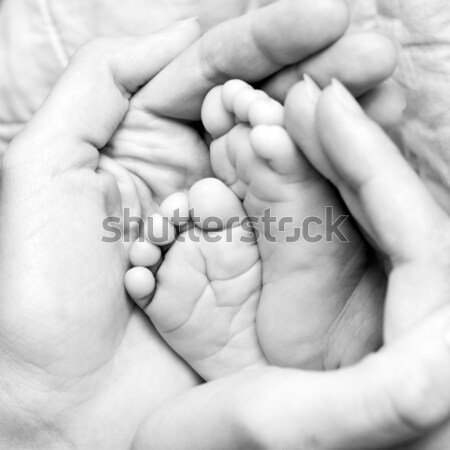 Tiny feet Stock photo © naumoid