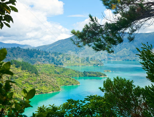 Königin Wasser Wald Landschaft Meer Schönheit Stock foto © naumoid