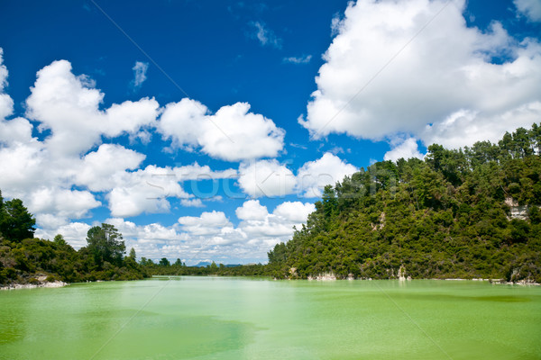 Lake Ngakoro Stock photo © naumoid