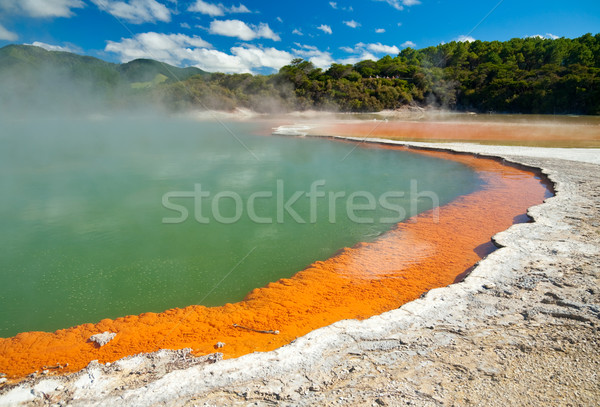 Champagne Pool Stock photo © naumoid