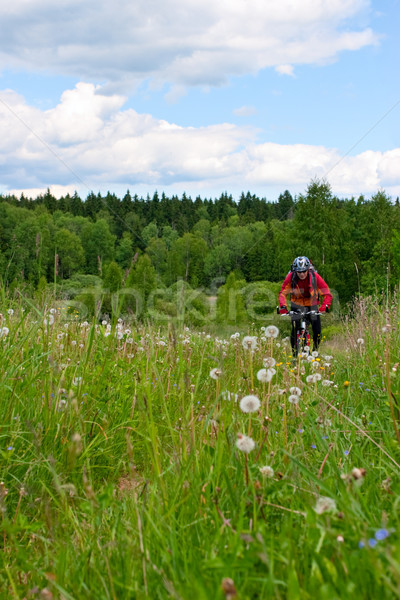 Ciclist calator pădure luncă Imagine de stoc © naumoid