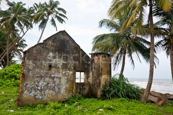 Tsunami domu uszkodzony Sri Lanka drzewo budynku Zdjęcia stock © naumoid