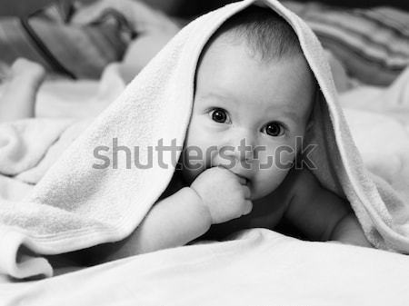 Cztery niemowlę portret uważny miesiąc Zdjęcia stock © naumoid