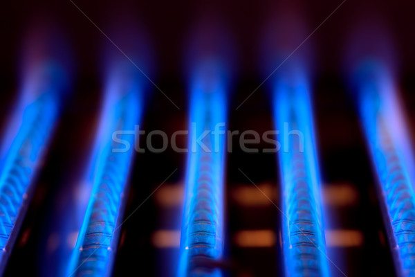 Gas vlam Blauw vlammen binnenkant brand Stockfoto © naumoid