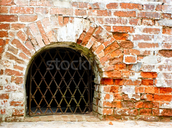 Grated window  Stock photo © naumoid