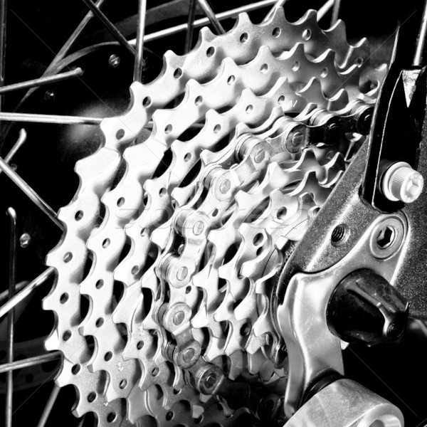 Stok fotoğraf: Arka · kaset · zincir · dağ · bisikleti · tekerlek · teknoloji