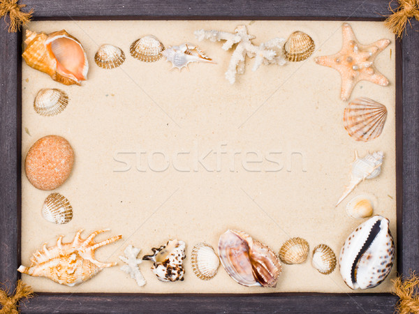 Stockfoto: Schelpen · zand · frame · houten · frame · schelpen · zeester