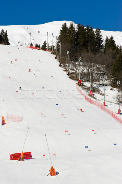 阿爾卑斯山的 滑雪 組 賽車 山谷 法國 商業照片 © naumoid