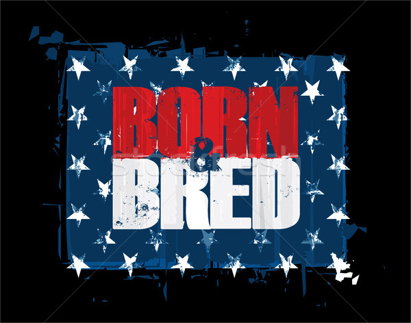 Born n Bred - Red White n Blue USA Stars Stock photo © nazlisart