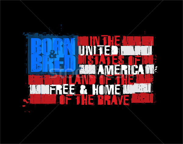 американский текста флаг землю свободный домой Сток-фото © nazlisart
