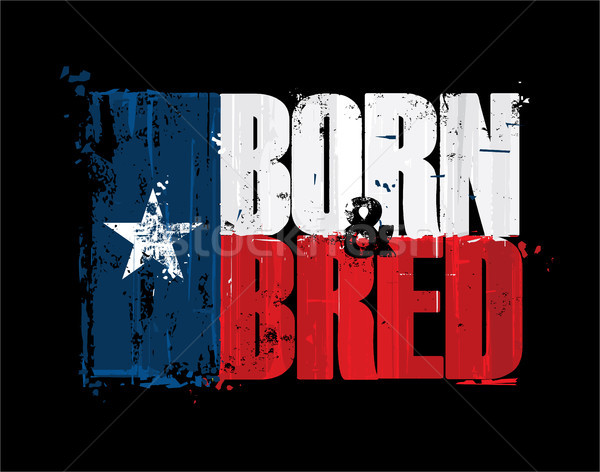 Texan Flag - Born n Bred Stock photo © nazlisart