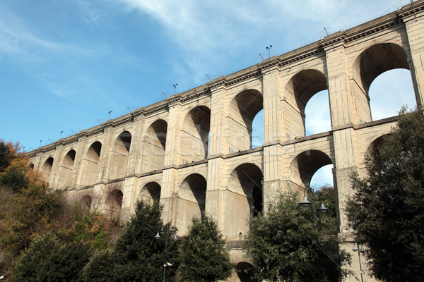 Pont route arbres transport structure [[stock_photo]] © ndjohnston