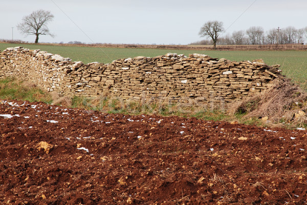 Muro de piedra campo primavera pared naturaleza granja Foto stock © ndjohnston