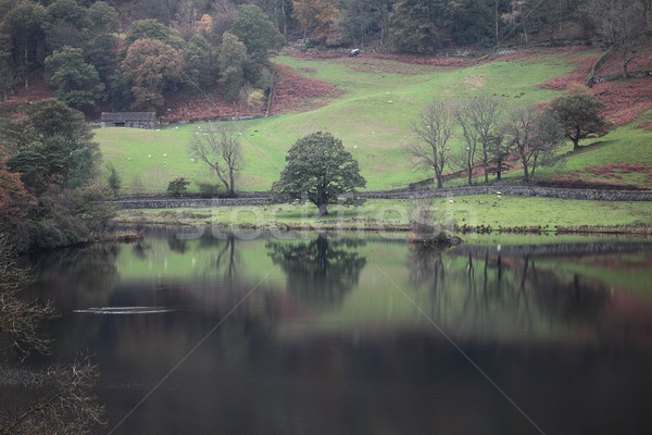 Otono reflexiones hermosa pared lago Foto stock © ndjohnston