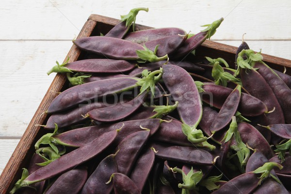 Violet proaspăt legume recoltare gustos Imagine de stoc © neillangan