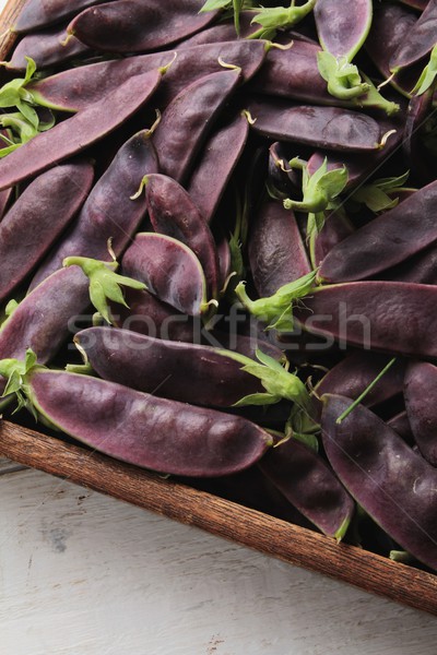 Violet proaspăt legume recoltare gustos Imagine de stoc © neillangan