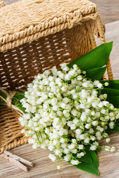 lilly of the valley bouquet Stock photo © neirfy