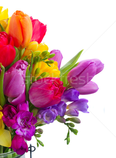 Bouquet lumineuses fleurs du printemps isolé blanche Photo stock © neirfy