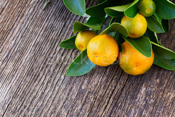 Stock photo: Tangerine tree