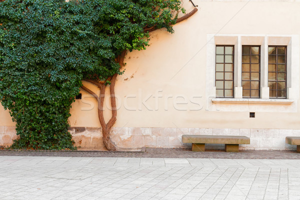 Wawel hill in Krakow, Poland Stock photo © neirfy