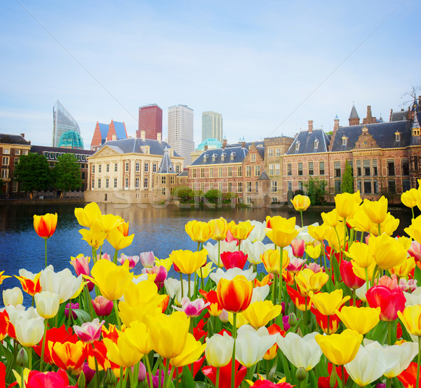 Hollandia város központ öreg új tavasz Stock fotó © neirfy