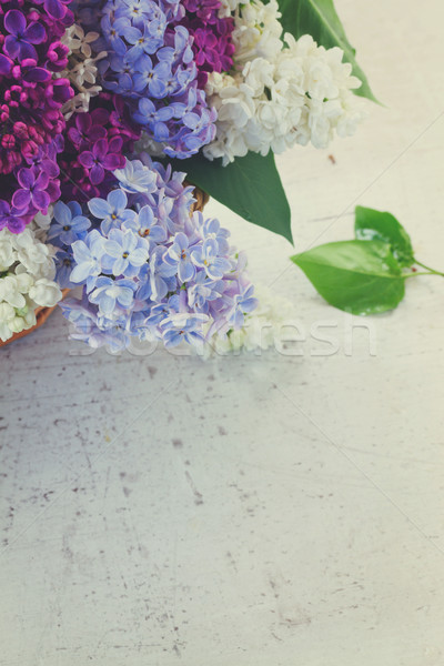 Foto stock: Frescos · lila · colorido · flores · cesta