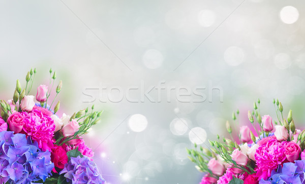 Bright pink and blue flowers Stock photo © neirfy