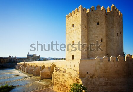 Barrio antiguo crepúsculo España torre romana puente Foto stock © neirfy