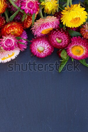 Stock photo: Bouquet of Everlasting flowers