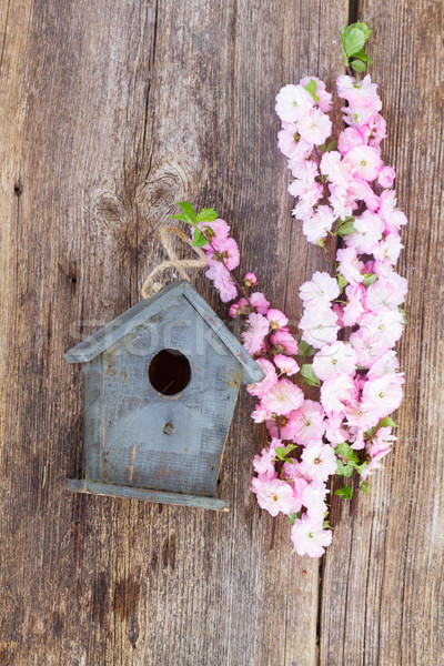 Kirsche Blumen Vogelkäfig frischen rosa Holztisch Stock foto © neirfy
