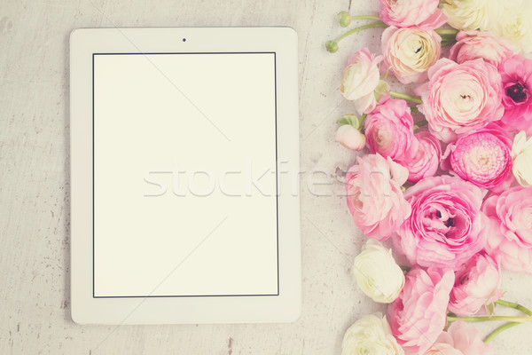 Pink and white ranunculus flowers Stock photo © neirfy