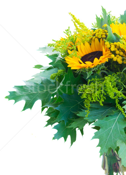 Stockfoto: Zonnebloemen · groene · bladeren · bos · vers · Rood · bessen