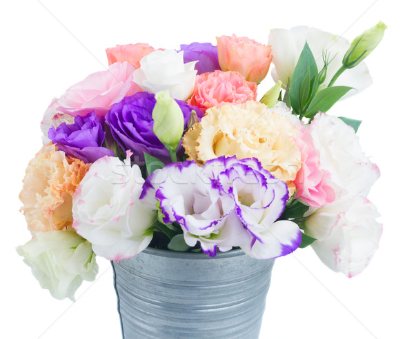 Pink, white and violet flowers Stock photo © neirfy