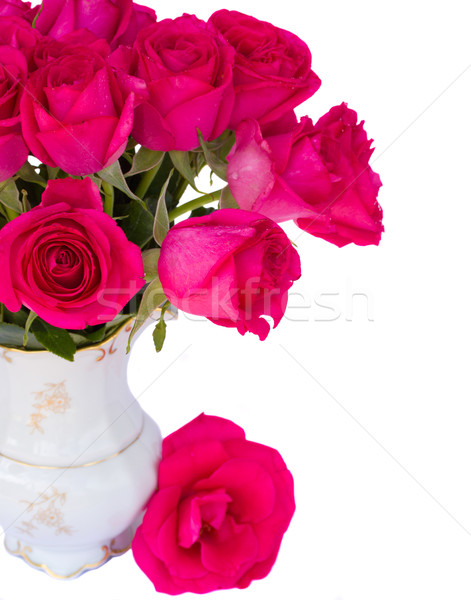 mauve roses posy close up Stock photo © neirfy