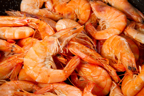 king  prawns Stock photo © neirfy