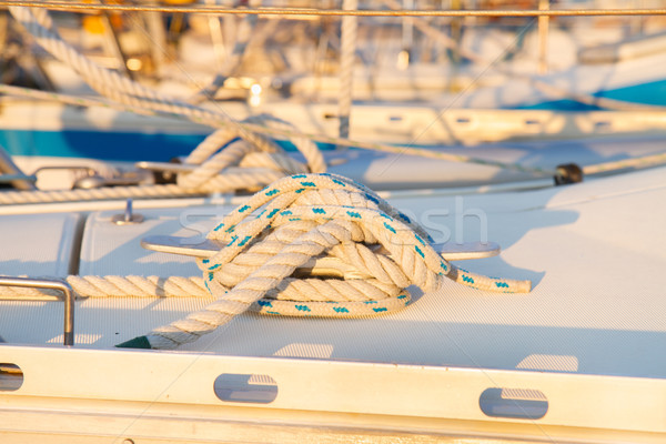 marine knot Stock photo © neirfy