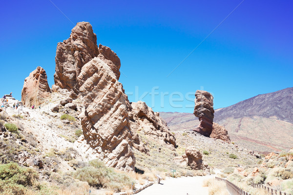 Stockfoto: Tenerife · eiland · vallei · natuur · licht · zomer