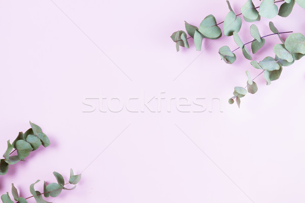 Stock photo: Green floral composition