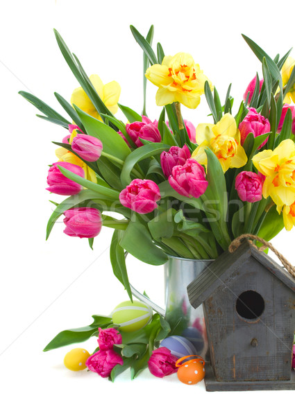 Frühlingsblumen Ostern Eier Vogelkäfig isoliert weiß Stock foto © neirfy