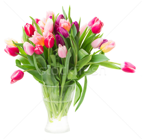 Stock foto: Bouquet · mehrfarbig · Tulpe · Blumen · weiß · Topf