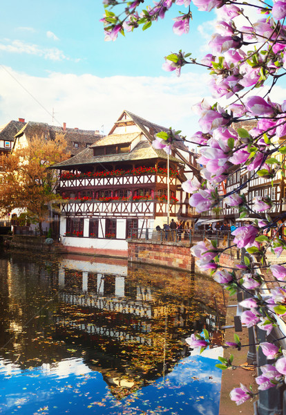 Città vecchia Francia medievale quartiere primavera fiori Foto d'archivio © neirfy